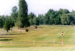 Golf2002-1.jpg (44411 bytes)